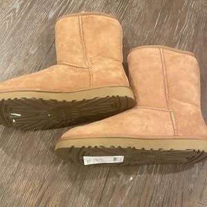 Classic short Ugg in chestnut